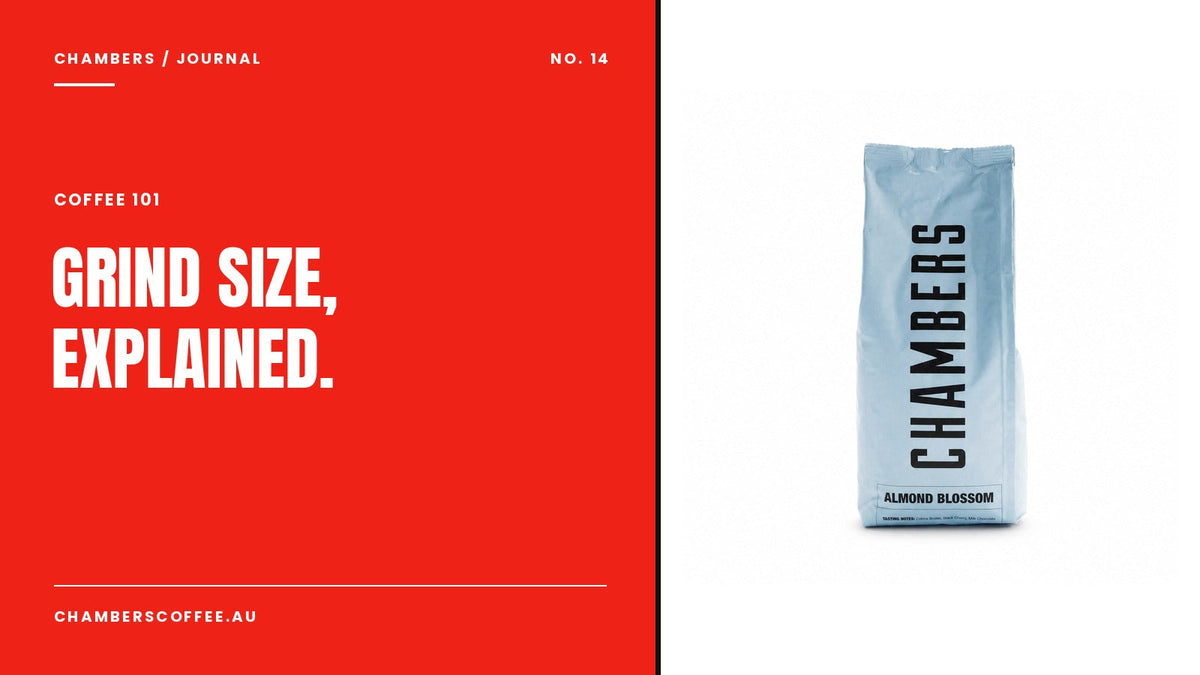 Coffee Grind Size Guide: From Espresso to French Press