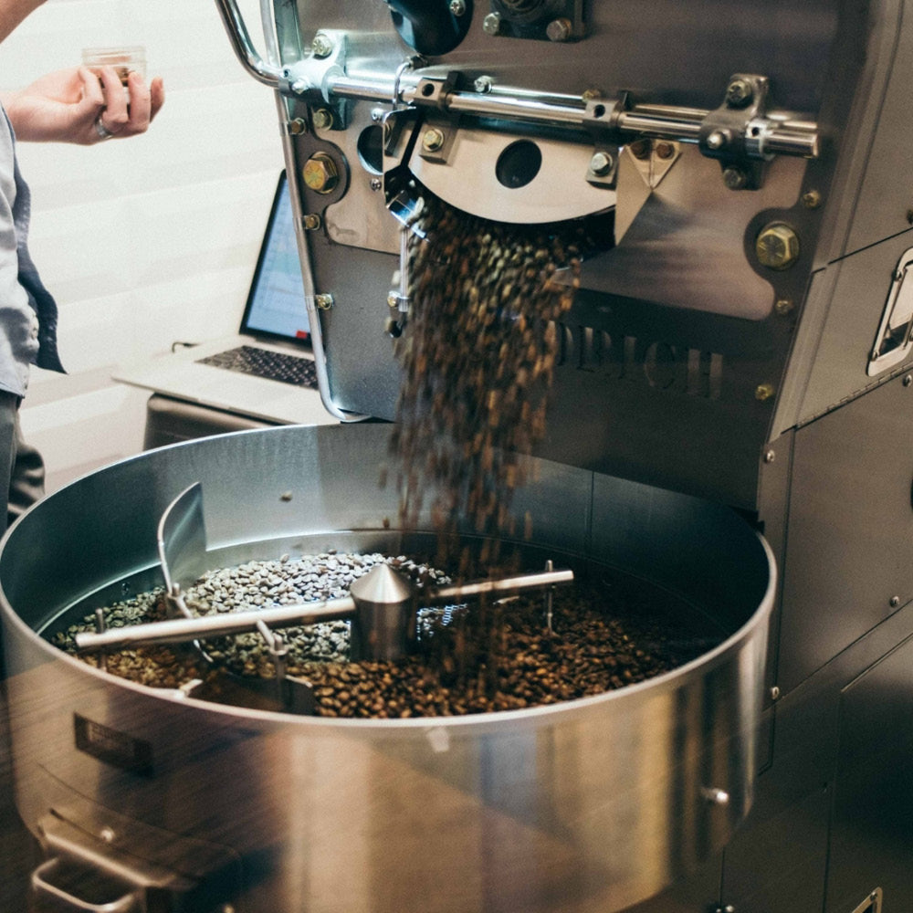 Flat White vs Latte vs Cappuccino: What's the Difference?