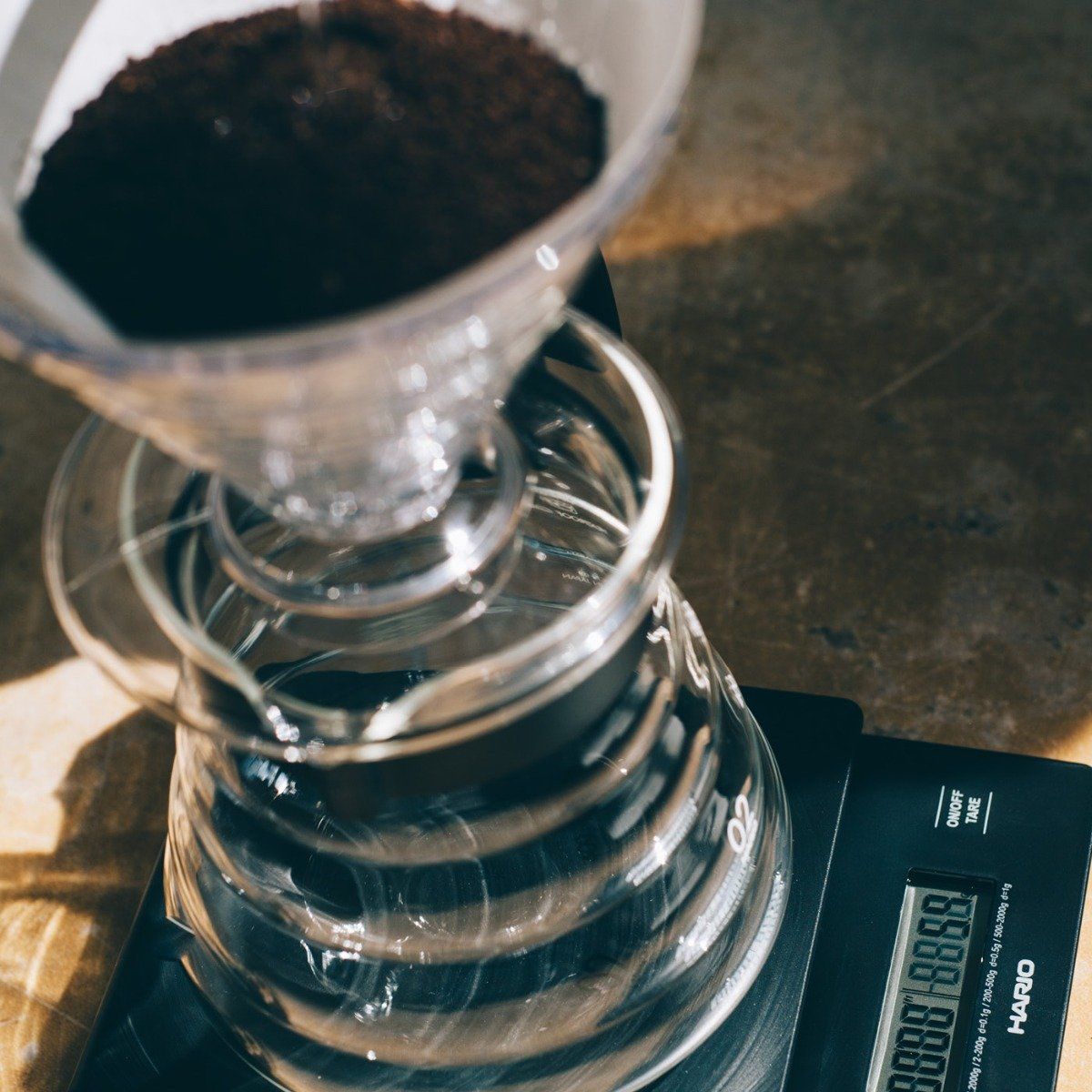 Hario V60 filter papers close-up — biodegradable, clean brew