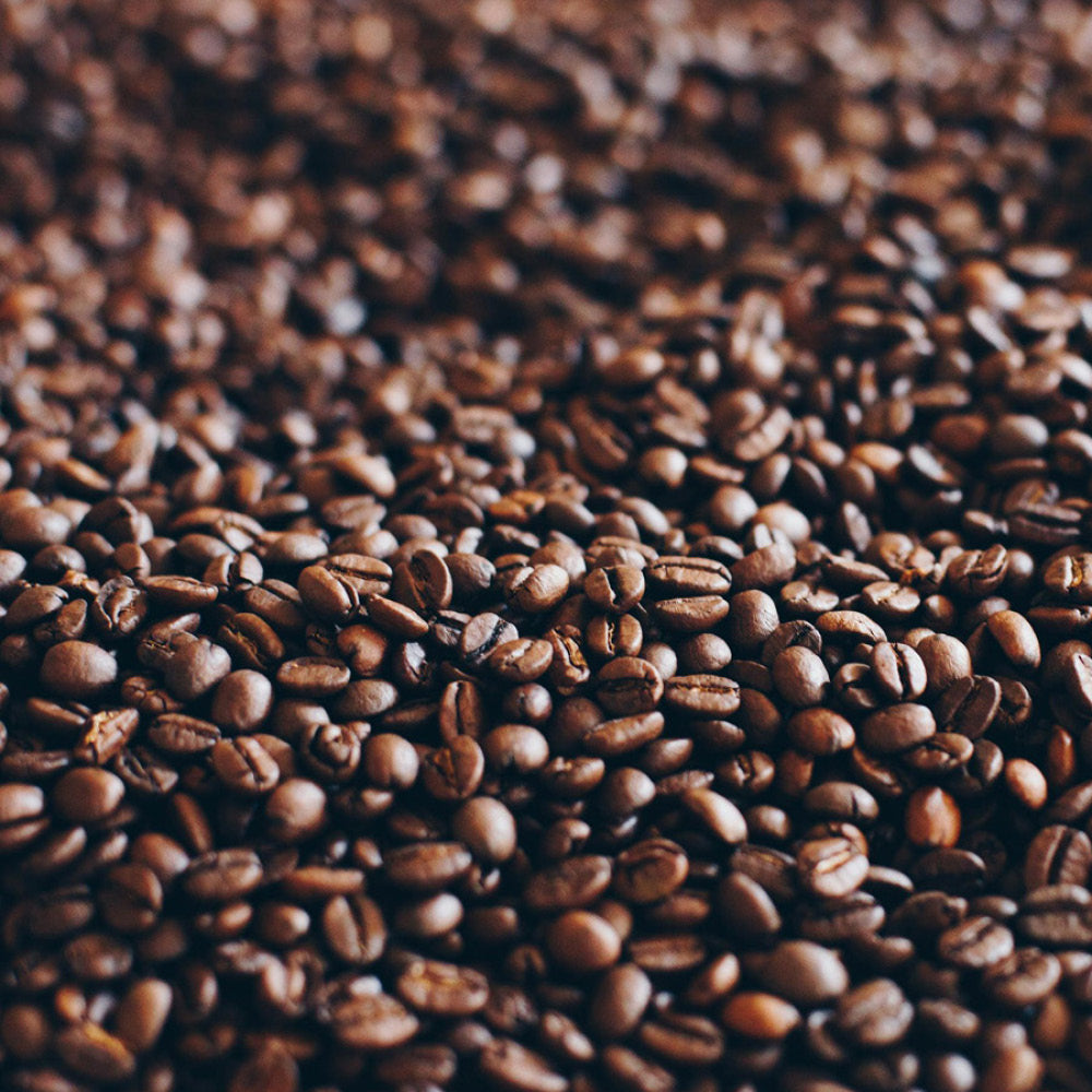 Almond Blossom 1kg coffee bag — Chambers Fine Coffee house espresso, roasted in Sydney